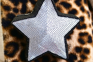 Star Appliqué Pouch